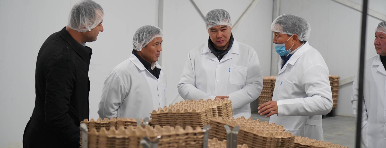 Тойбосс «Кыргыз Бройлер» получил статус племенного птицеводческого завода