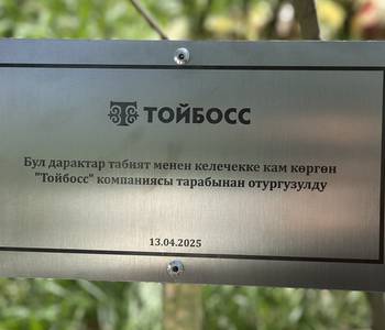 Тойбосс Toyboss Plants Trees in Karagach Grove as Part of AUCA’s Green Initiative